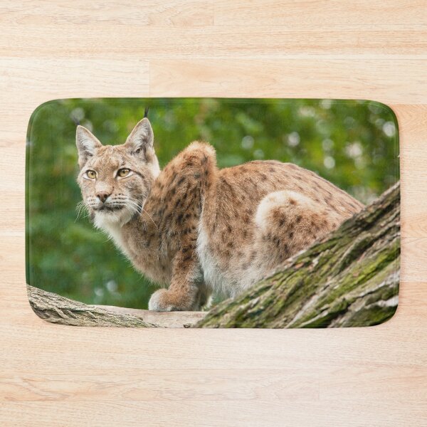 Item preview, Lynx designed and sold by Dominika Aniola.