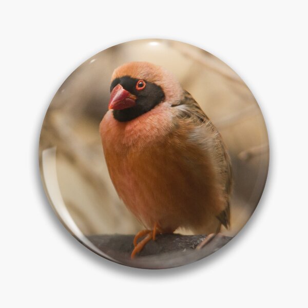 Item preview, Southern Red Bishop designed and sold by Dominika Aniola.
