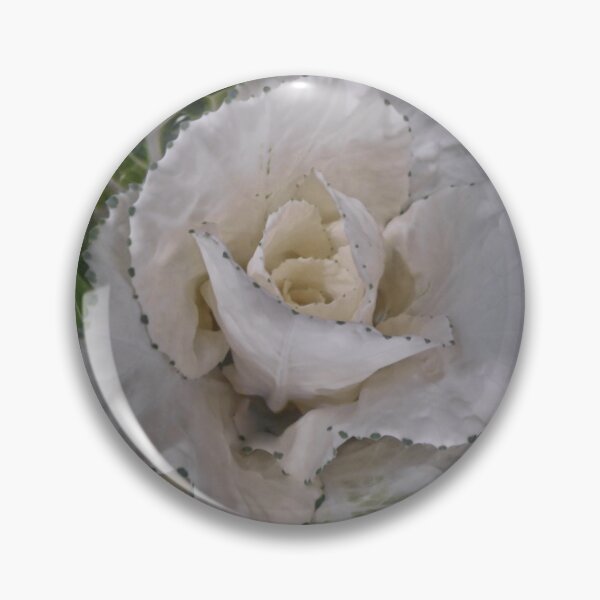 Item preview,  Cabbage designed and sold by Elaine Bawden.