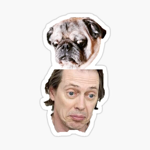 Steve Buscemi Stickers for Sale Redbubble