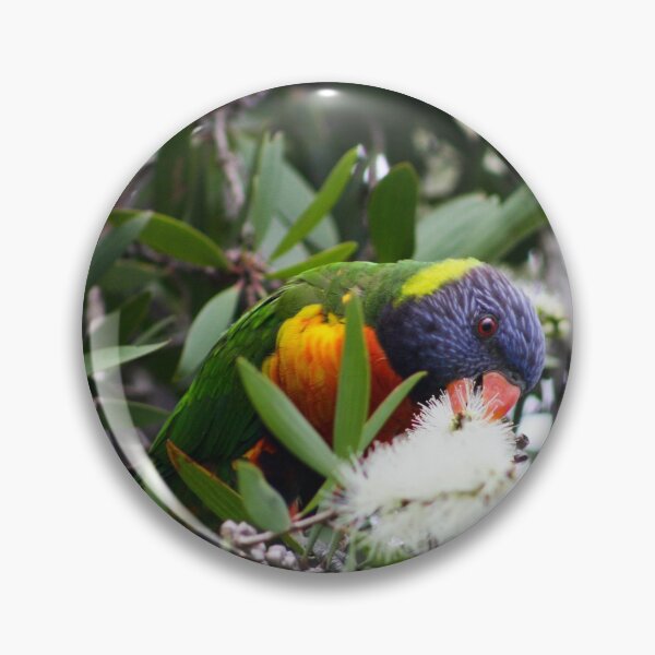 Item preview, Rainbow Lorikeet designed and sold by Ruth Goldsack.