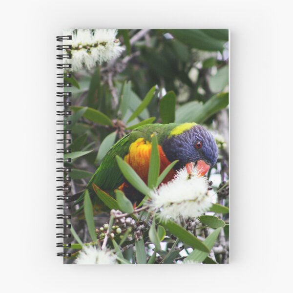 Item preview, Rainbow Lorikeet designed and sold by Ruth Goldsack.