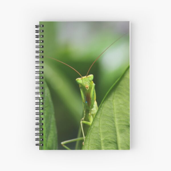 Watching Me Watching You - Praying Mantis Spiral Notebook