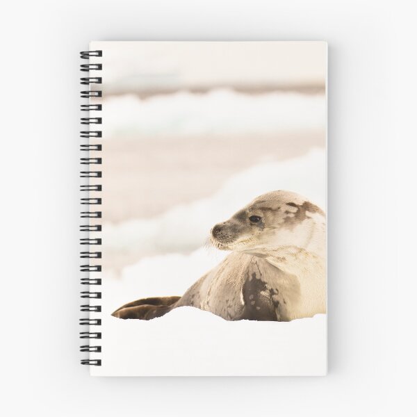 Item preview, Seal Of Approval designed and sold by CBoyle.