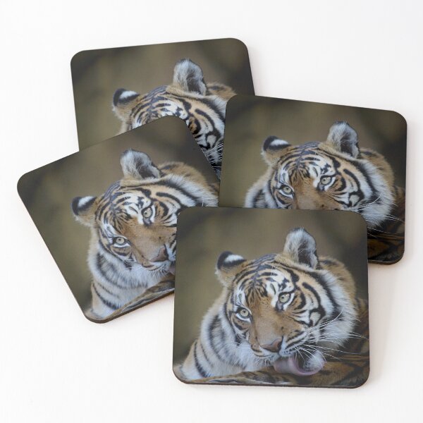 Item preview, Tiger Grooming designed and sold by bluesmokephotos.