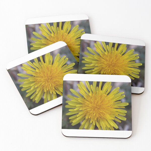 Item preview, Dandelion  designed and sold by Mickpew.