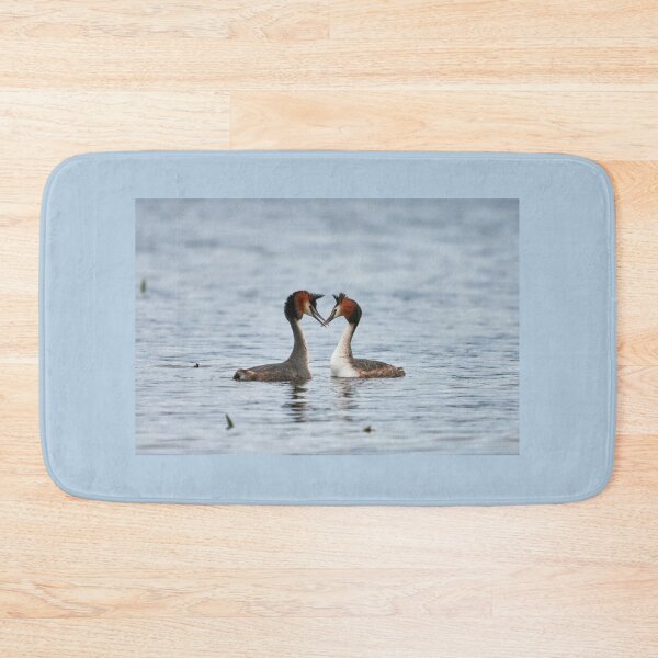 Item preview, Oh my love oh my beauty. Great crested grebe designed and sold by Jouko Lehto Photography.