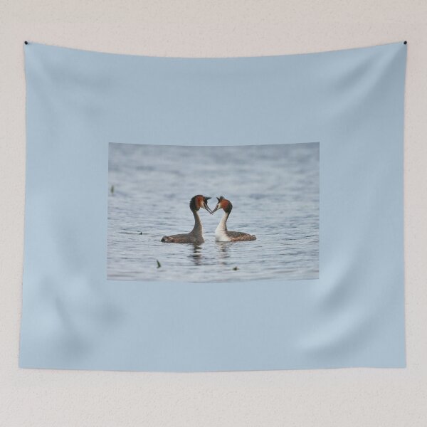 Item preview, Oh my love oh my beauty. Great crested grebe designed and sold by Jouko Lehto Photography.