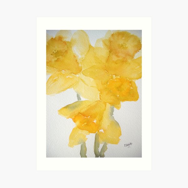 Awash with Daffs Art Print