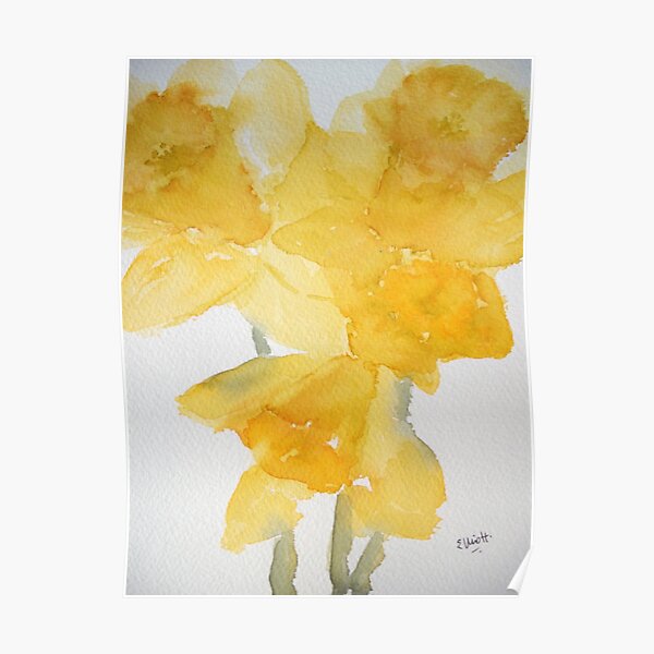 Awash with Daffs Poster