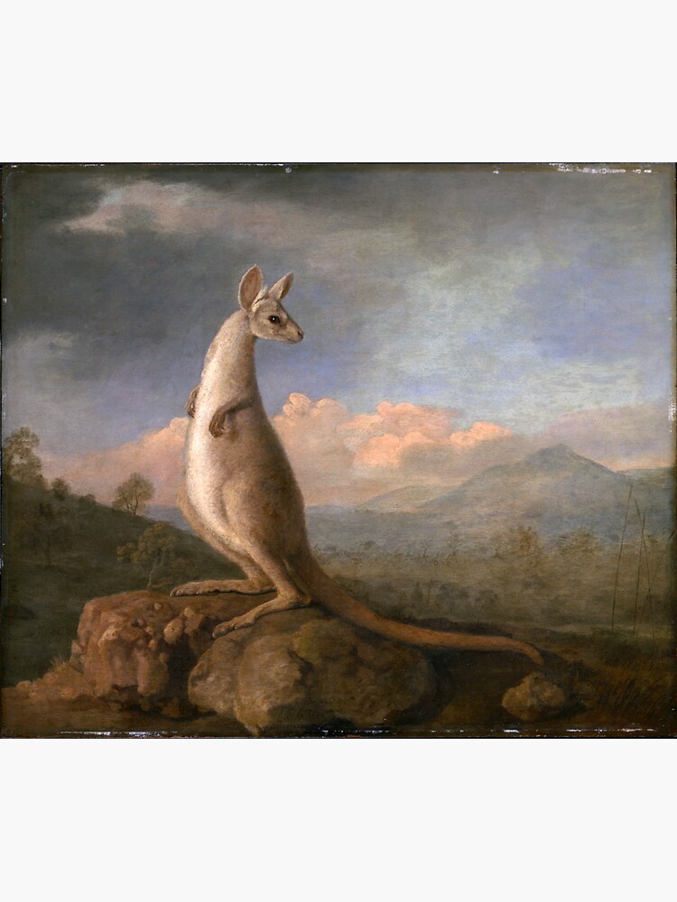 The Kongouro from New Holland (Stubbs) by ArtHistorical