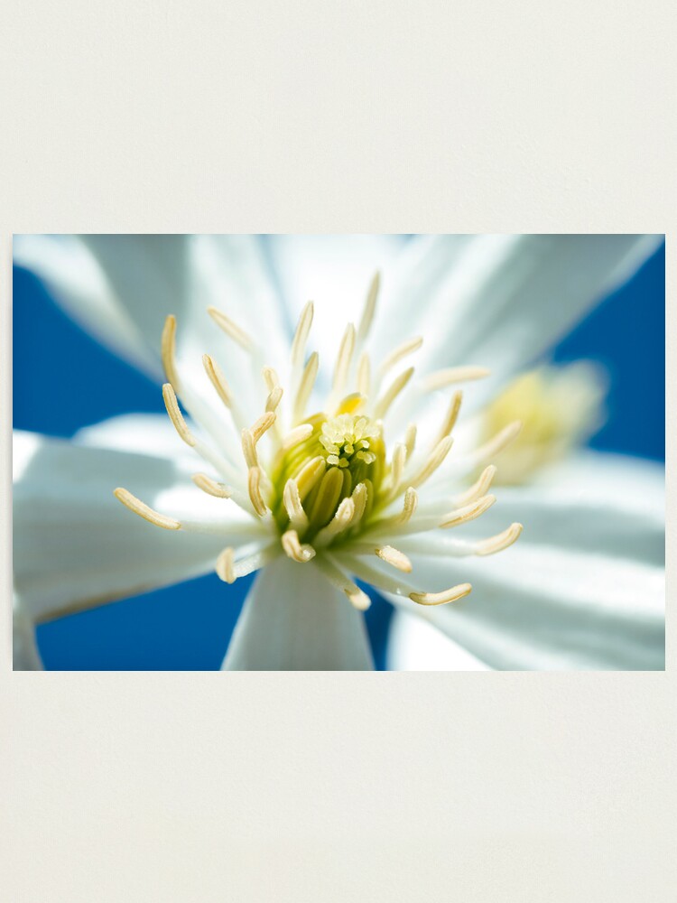 Alternate view of Day 261 - 27th March 2012 Photographic Print