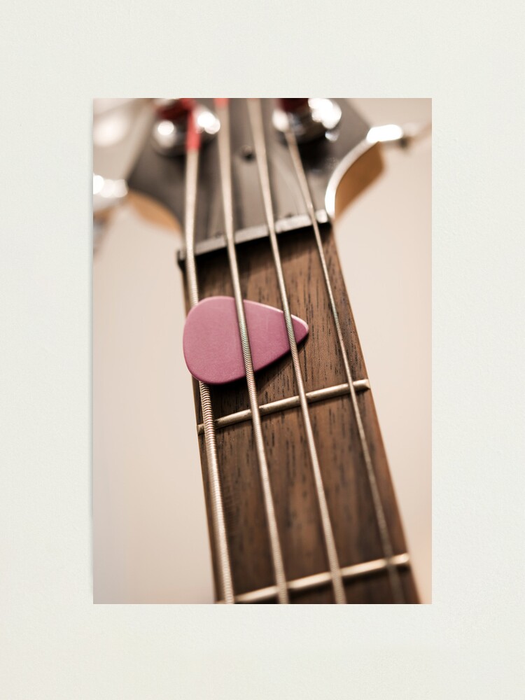 Alternate view of Day 263 - 29th March 2012 Photographic Print