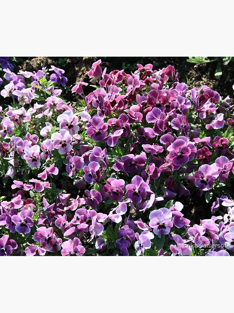 Purple Romantic Flowers by ErikaKaisersot