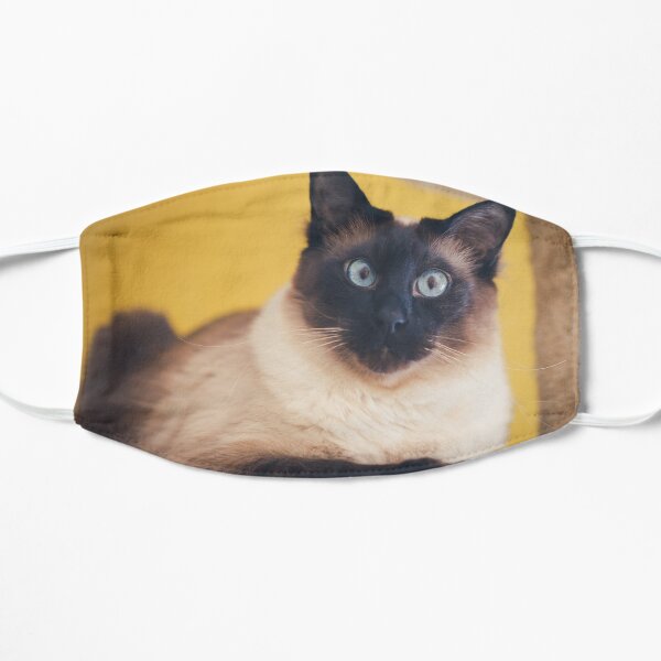 Keen siamese cat Mask