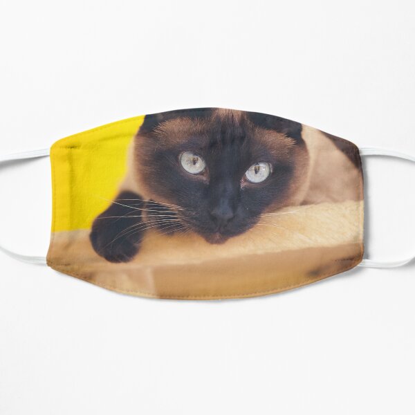 Siamese Cat Mask