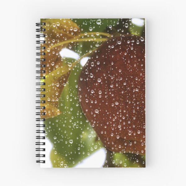 Item preview, Hood Rver - Apple Rain designed and sold by IMAGETAKERS.