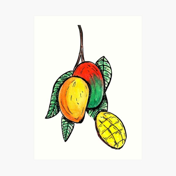 Mango Edible Stone Fruit Produced By Stock Illustration 2279255277 |  Shutterstock