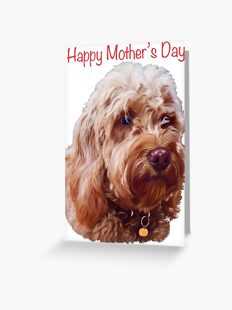 The best Mother's Day gifts 2022, happy mother's day- Cavapoo puppy dog - cavalier  king charles spaniel poodle, Cavoodle puppy love