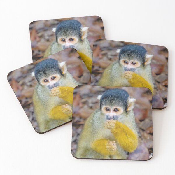 Item preview, Young Yellow Squirrel Monkey designed and sold by samjsphoto.
