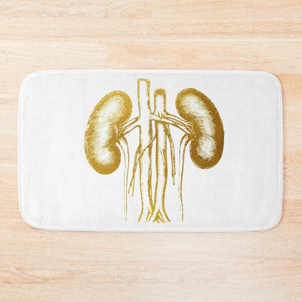 Item preview, The Kidneys anatomy designed and sold by Liededrom..