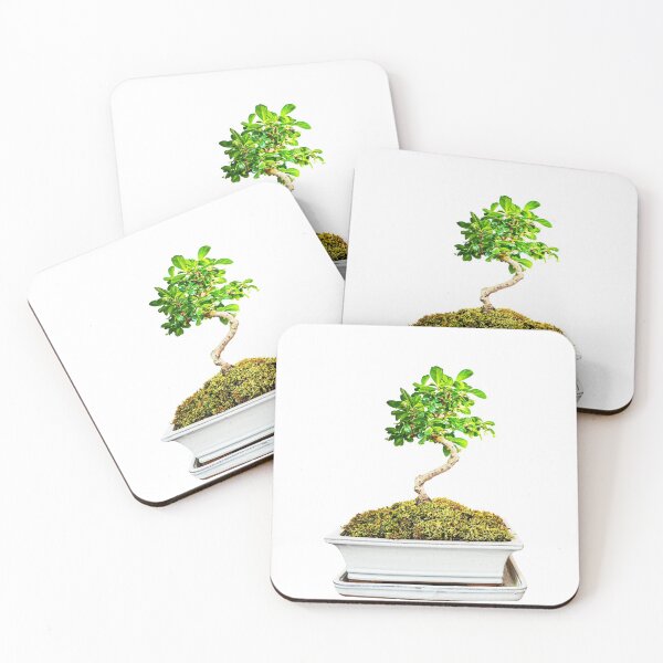 Item preview, Bonsai Tree ,Nature white Background designed and sold by MarketVisionAV.