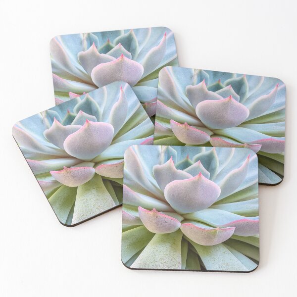 Item preview, The Succulent designed and sold by colbuj.