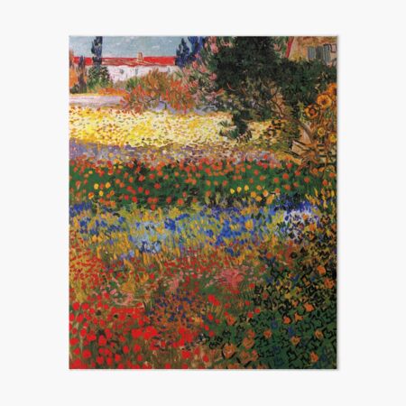 Garden in Bloom, Arles, 1888, Vincent van Gogh Art Board Print
