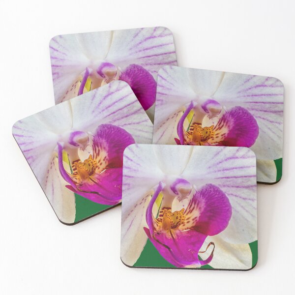 Item preview, Phalaenopsis Flower designed and sold by colbuj.