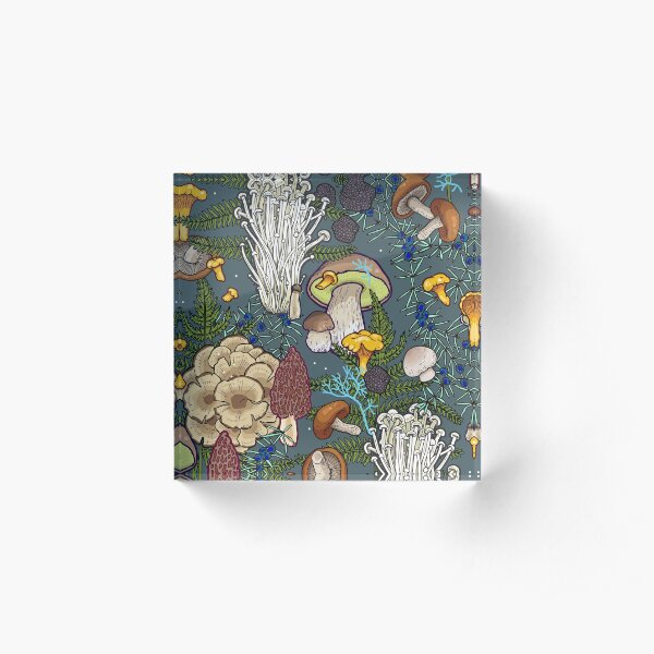 mushroom forest Acrylic Block