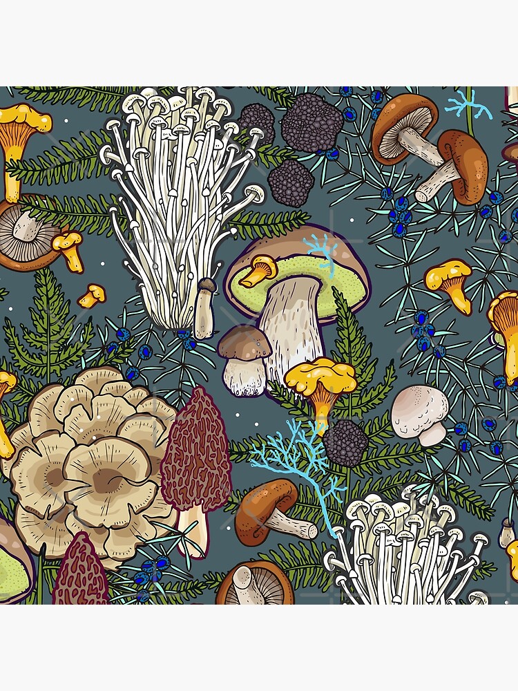 mushroom forest by smalldrawing