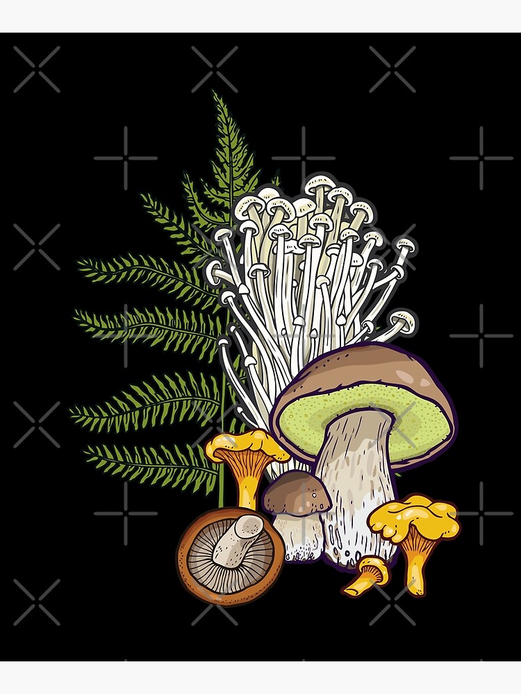 mushroom forest by smalldrawing