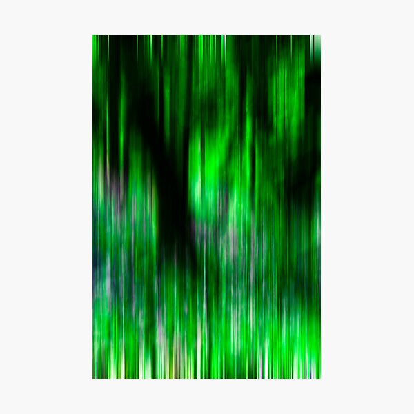 Aperçu de l'œuvre Bluebell Wood créée et vendue par Woolfe.