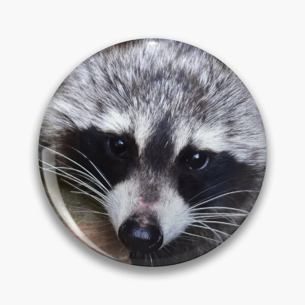 Item preview, racoon designed and sold by Glineur.