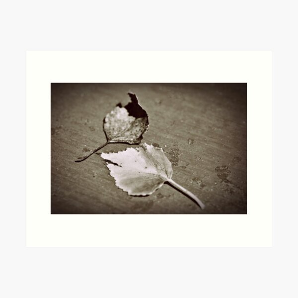 Item preview, fallen in sepia designed and sold by Karen E Camilleri.