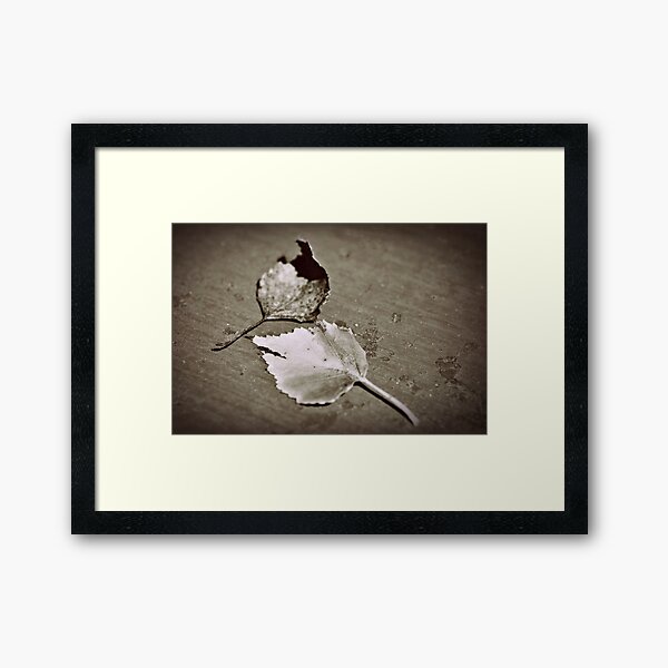 Item preview, fallen in sepia designed and sold by Karen E Camilleri.