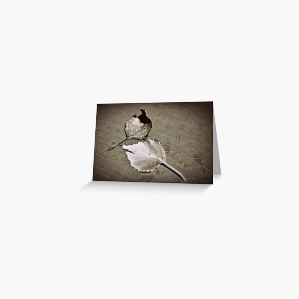 Item preview, fallen in sepia designed and sold by Karen E Camilleri.