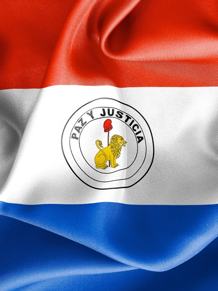 paraguay-flag-reverse-side-iphone-case-cover-by-markuk97-redbubble