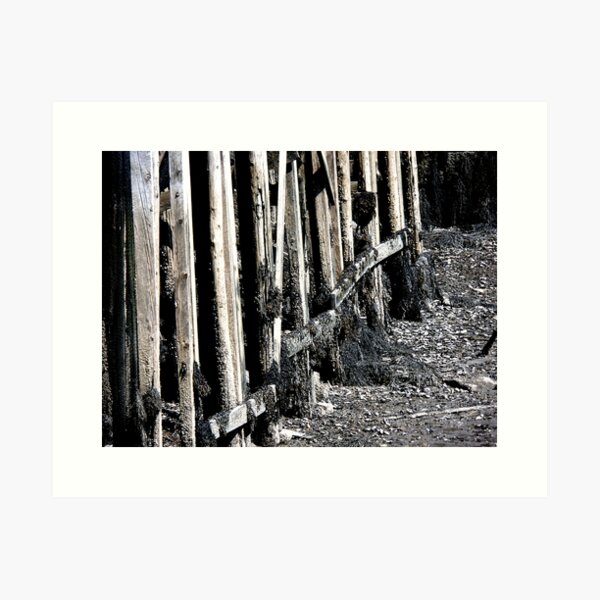 Maine pier Art Print
