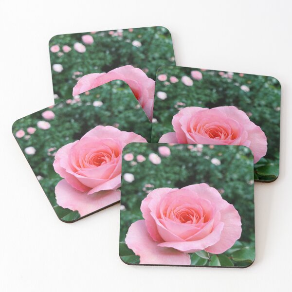 Item preview, Elegant Pink Rose Garden designed and sold by newburyboutique.