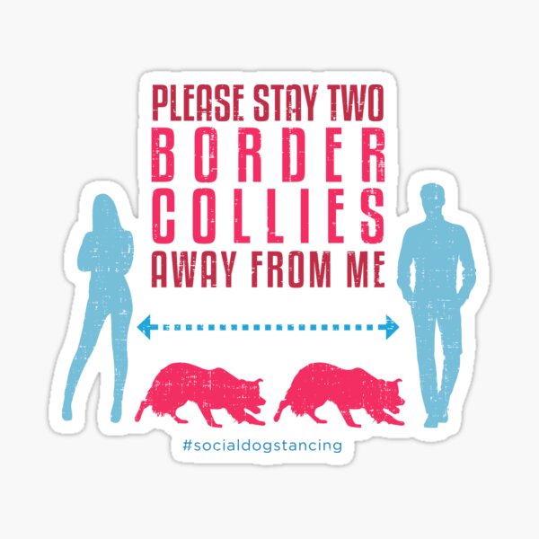 Border Collie Social Distancing Guide Sticker