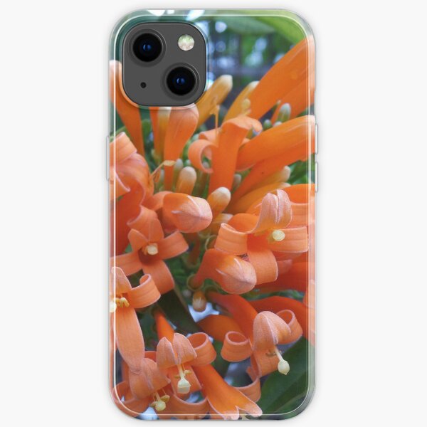 Orange Trumpet Creeper iPhone Soft Case