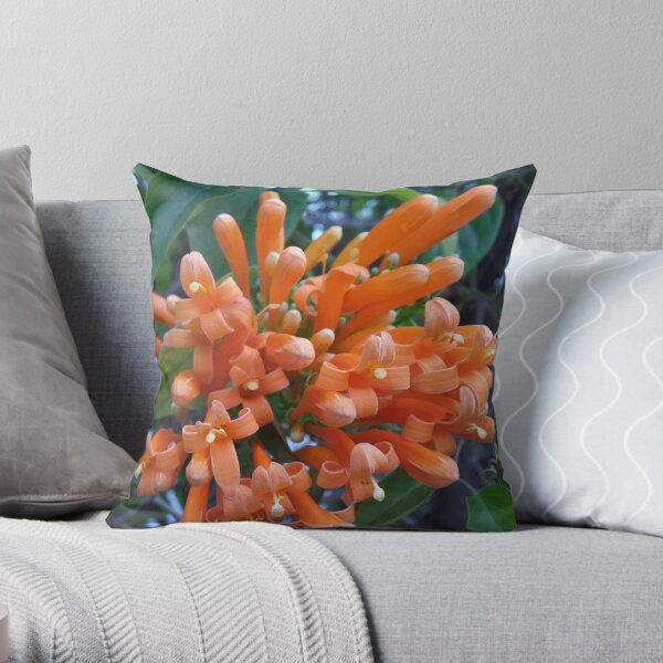 Orange Trumpet Creeper Throw Pillow