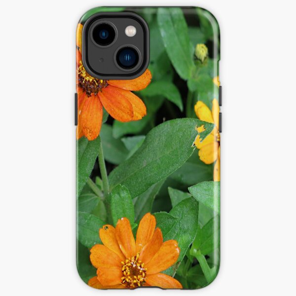 Orange and yellow daisies iPhone Tough Case