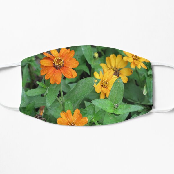 Orange and yellow daisies Flat Mask