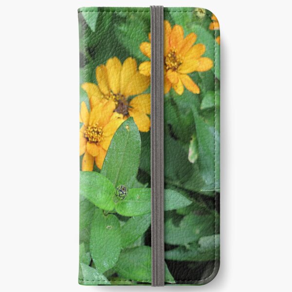Orange and yellow daisies iPhone Wallet