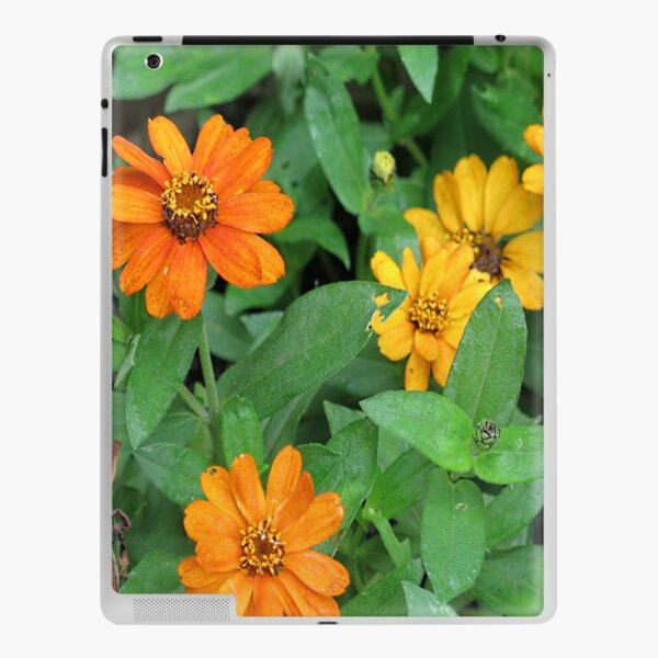 Orange and yellow daisies iPad Skin