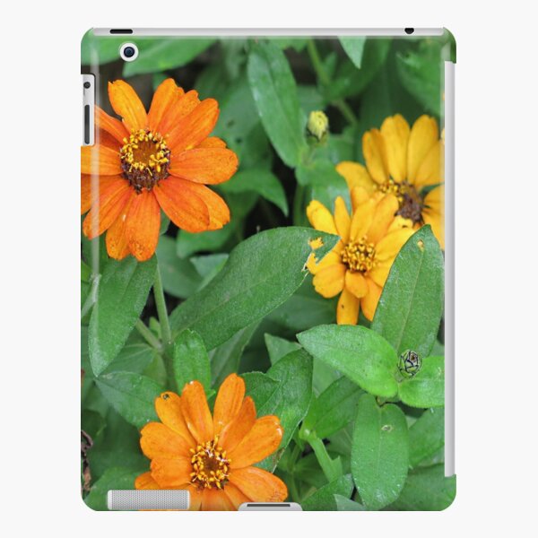Orange and yellow daisies iPad Snap Case