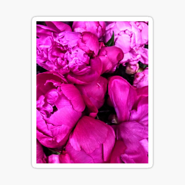 Item preview, Blooming Pink Flowers designed and sold by newburyboutique.