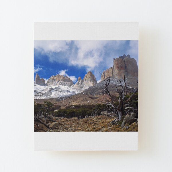 British Viewpoint, Torres del Paine, Patagonia (Chile) Wood Mounted Print